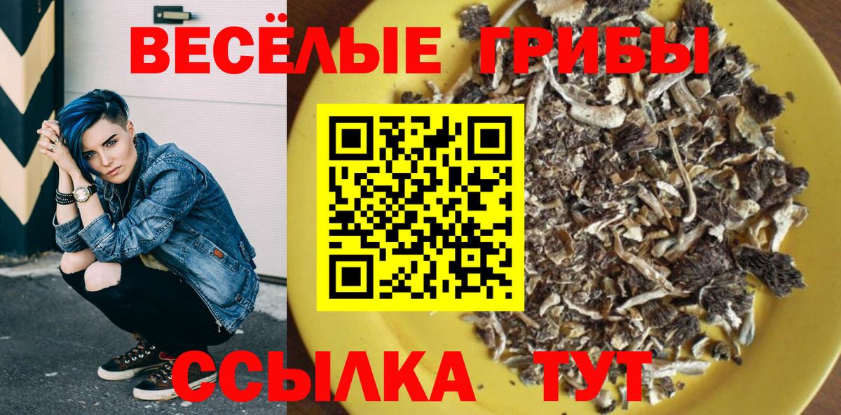 Псилоцибиновые грибы Psilocybine cubensis Орск